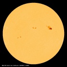SDO/HMI Continuum Image of the Sun
